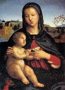 RAFFAELLO Sanzio Madonna and Child oil painting reproduction